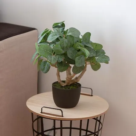 Appartement Family Saska Kepa By Renters *